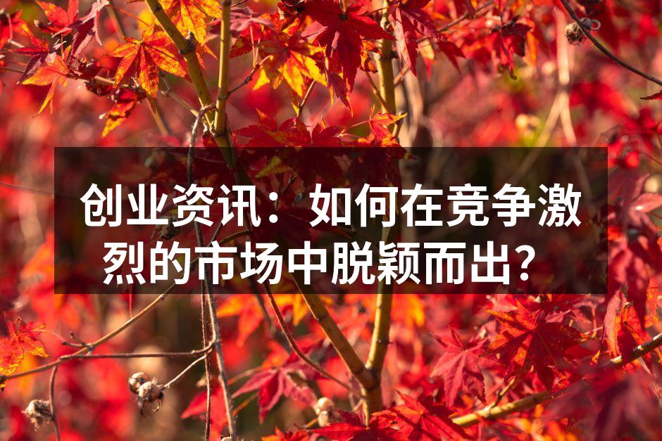 创业资讯：如何在竞争激烈的市场中脱颖而出？