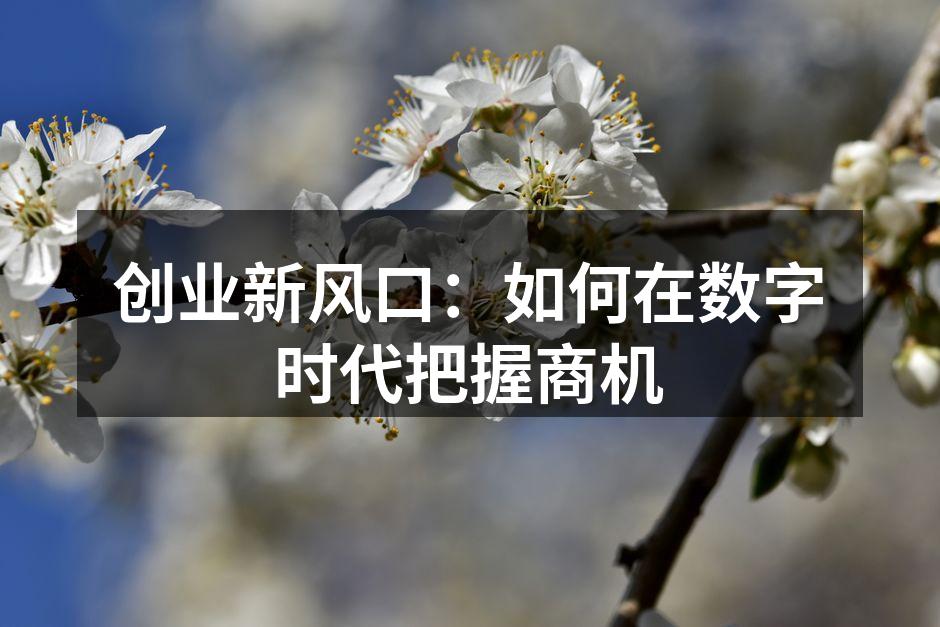 创业新风口：如何在数字时代把握商机