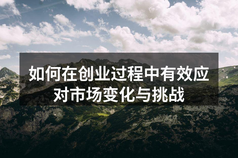 如何在创业过程中有效应对市场变化与挑战